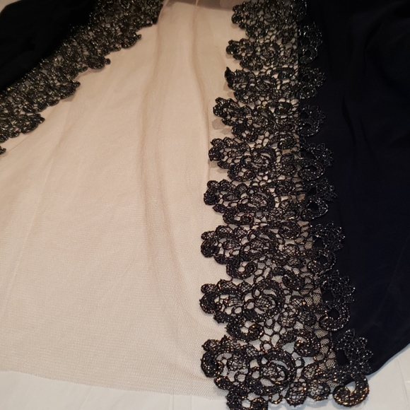 SOLD**** XSCAPE New Crochet Lace Column Gown Dress 22 Sexy! - Picture 10 of 10